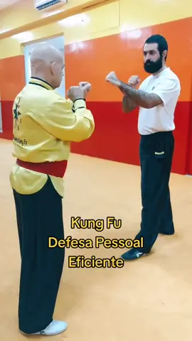 #tskf #kungfu #Kungfuadistancia #kungfuonline #wushu #louvaadeus #artemarcial #artesmarciais #shaolin #chikung #camisadeferro #humor