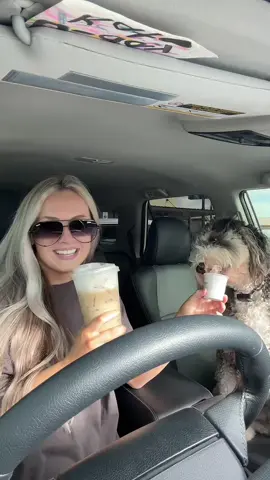 enjoy this boring day in my life :’) #wheelchairlife  #fyp  #wheelchair  #spinalcordinjurylife 