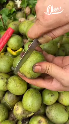 Hạt Óc chó tươi lột vỏ tại vườn #hatoccho #granola #ohoofoods 