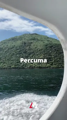 Percuma - Mario G Klau #percuma #marioclau21 #glensebastian #liriklagu #langitmusikid 