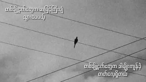 ငှက် // G fatt #k #fy #xyzbca #music #myanmarsong 