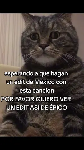 #Edit #editores #fypシ #porfavor #mexico🇲🇽 #épico  POR FAVOR
