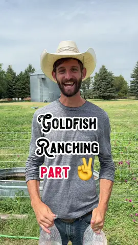 Goldfish Ranching Part ✌️ I have a confession to make. I accidentally killed the remaining two fish 🥲 but they actually did a pretty good job keeping the tank clean from algae, so we’re gonna try again! 😁 #fish #goldfish #koi #water #tank #fishtank #algae #clean #waterislife #livestock #cows #farm #farming #farmer #farmanimals #animal #animals #pet #pets #hack #LifeHack #fact #facts #funfacts #tip #tips #homestead #shilohfarm #algaeeater #farmtok #PetsOfTikTok #farmanimal #animalsoftiktok #tipsandtricks #hacksoflife 