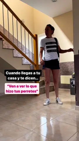 Que han hecho hoy?😰🤦‍♀️ #canecorsoseth#anatyaston#tiktokperros#puppytiktok#perrostiktoker#perrostiktokers 