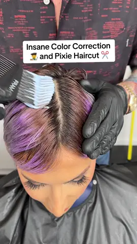 This hair needed saving chile. Did we slay this platinum blonde pixie haircut by myself & @Philip Wolff on the stunning @Alineh Avanessian ? Do you toot it or boot it hair besties? #platinumblonde #pixiecut #foryou #fypシ #shorthair #colorcorrection #hairtutorial 