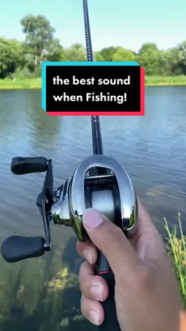 The sound of the MOST Expensive fishing Reel! #shimano #fishshimano #shimanofishing #baitcaster #baitcast #antares #antaresdc #shimanoantaresdc #shimanoreel #bassfishing #largemouthbass #fishinglife #fishing #lovetomyears #earporn 