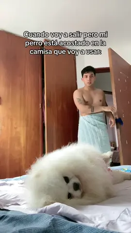 Es que si lo muevo se va 🥺 #comedia 