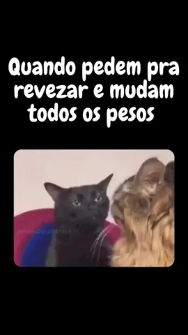 O que você faria? 😅 . . . . . . . . . #humor #treino #Fitness #fyp 