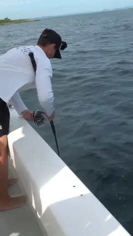 #fy #fypシ #viral #fish #fishing #gofishing #topwaterfishing #explore #اكبسلور 