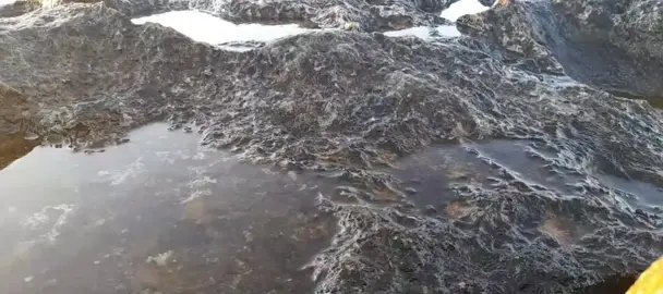 #سرت  #بنغازي_طرابلس_ترهونه_سرت_مصراته_ليبيا_  #الشعب_الصيني_ماله_حل🥲✌️ 