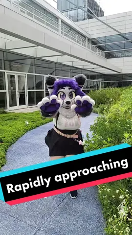 I'm comin!! #furry #furryfandom #furrytiktok #furriesoftiktok  #furrycommunity #fursuit #fursuiter #fursuiting #fursona #anthrocon #anthrocon2023 