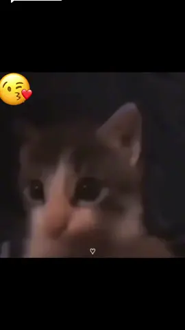 Respuesta a @Leandro te envío muchos besitos 😊😘😘🥰😘😘