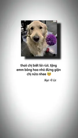 nhinn nhủi ebeeee lì nhe @Li <3 Ngii #bachhop #lesbiancouple #xuhuongtiktok #xh #bachhop🌈 #TuHaoDaSac #gei #girllove #xuhuongtiktokkk 