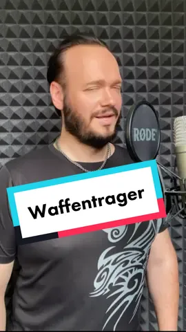 #waffentrager #worldoftanks #романбобров #миртанков #кавер 