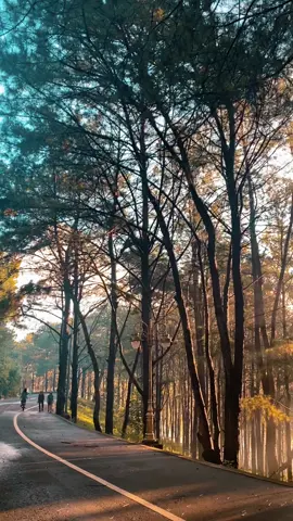 #CapCut Sáng Bình Yên của mình ! Cảnh đẹp luôn khiến mình tràn đầy năng lượng mà bỏ qua hết muộn phiền ❤️ #CapCut #pleiku #reviewpleikugialai #bienho #pleiku_gialai #binhminh 