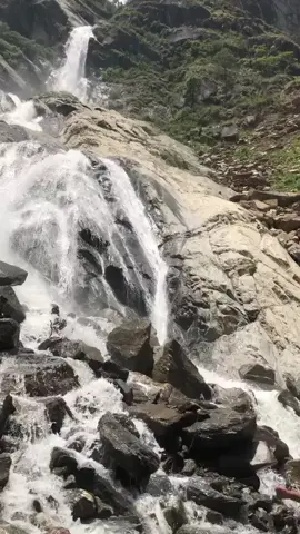 #foryou #foryoupage #preciouslife💖💖 #मोटिकेटि_म्🤣 #peace✌️✌️✌️✌️✌️✌️ #hamronepal 🇳🇵