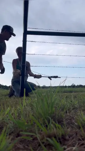 Our whole fence building process 😏🤩  Shoutout to WaterStreetWelding for the cornerposts and gates! . #fence #farmlife #farm #barbedwire #buildingfence #land #equipment #teamwork #welding #tpost #trades #weekendproject #life #work #afterwork 