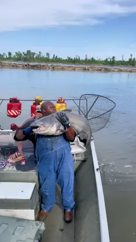#bankpole #missouririver #TombstoneTackle #MississippiRiver #Outdoors #fishingwithshane #missouri #onedayatatime🙏🏽 #bluecatfish #troutline #catchandrelease #missouririverbluecat 