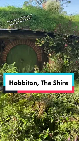 Summertime in Hobbiton, The Shire. Located just outside Matamata. Pro tip- if you’re visiting and able, go twice (at least!).  We’d booked a dinner tour but panicked the night before that the dinner crowd would be large and we might not see as much as we wanted, so we booked a small morning tour the same day. It was one of the best decisions we could have made. Each tour guide had different quips and stories and the two tours were completely unique experiences.  #hobbitonmovieset #theshire #hobbitlife #hobbitcore #honeymoonvibes #hobbithouse 