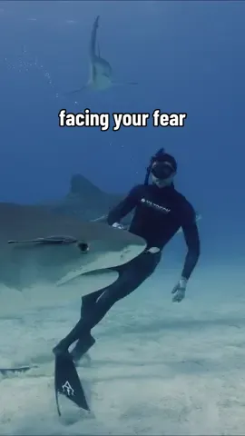 The best moments come on the other side of fear. One of the biggest themes in my life, and this experience definitely put it to the test…  The goal of this project was to show an authentic shark experience: a story about being truly afraid, but willing to learn. Full video out now! Link in bio.  Thank you for all the support 🤟🏼 #faceyourfear #sharkweek #natureislit 