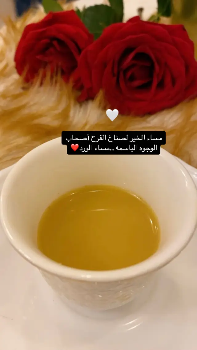 مساء الورد ❤️🎼 #أكسبلوورررررر #fypシ #فنان_العرب_محمد_عبده_اكسبلور #محمد_عبده_ابونوره #فنان_العرب_محمد_عبده_ابونوره_الاكسبلور #ليلة_خميس_طرز_بها_نور_القمر_شط_البحر #كان_الفرح_ثوبي_الجديد #مسائيات_جميلة #قهوة_المساء #روقان_مسائي    ❤️🎼☕️