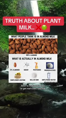 TRUTH ABOUT PLANT MILK.. ❌🤢 #plantmilk #plantbased #milk #rawmilk #health 