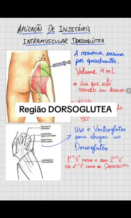 Região Dorsoglueta 💉💉💉 #enfermagem #enfermeiro #enfermeira #enfermagemnotiktok #enfermagemporamor #enfermagemtiktok #enfermagemcomamor #enfermeiranda #faculdade #faculdadedemedicina #faculdadedeenfermagem 