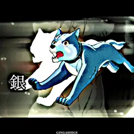 i’m obsessed with this🫣 #flashwarning⚠️⚠️ #ginganagareboshigin #ginganagareboshiginedit #gingadensetsu #ginga #hopeanuoli #silverfang #anime #edit #foryou #CapCut #viral #xyzbca #zyxcba #foryoupage #fypシ #fyp #viralvideo 