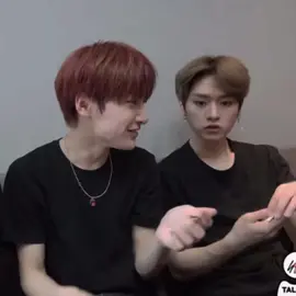 these two❤️‍🩹 #jeongin #in #leeknow #스트레이키즈 #straykids #stay #skz #fyp #kpopfyp 