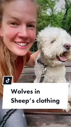 I’m curious who knows the reference! #trogdortheburninator #opencommitment 