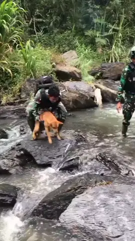 Hasil patroli si mike takut nyebrang sungai 🐕 😂.🔰🇲🇨 #papua #papuaviral #tiktok #fyp #aceh #tni #papua #tnipapua #pedalamanpapua #babinsamuda #babinsa #brimobpapua #brimob #tnitv #trending #zaykefi #tnipolri #kkbanger #tniindonesia🇮🇩 #tnipolri #tni #tniadindonesia #tniad💪😎 #gam #brimob #tniadindonesia🇮🇩 #tniadalahkita🇮🇩 #aceh #papua #opm #tni #militer #militerindonesia #hilogess #konflik #pedalamanpapua #brimob #brimobpapua #viral #rumohgeudong tni #papua #opm #tnimuda #tnimudapapua #ilu #papua #sniper #snipertni #puncakjayapapua #brimobpolri #tnipolri #khalissetiawan87 #khalissetiawan #kkmoro #tingginambut #puncak #papua #viral #damaipapua #anakpapua #kids #bocah #wilson #papuadamai #hilogess #hilogess #trendingtiktok #tniadmengabdidanmembangunbersamarakyat #tniadindonesia #konflikpapua #konflikaceh #ilu #ilupapua #puncakjayapapua #puncakjaya #tni #tnipolri #tnipolriindonesia #tnipolribersatu  #kkb #tniad #fyp #fypシ #indozone #tnipolrisolid #tnipolriuntukindonesia #heli #puncakjaya #puncakjayapapua #opm #helicopter #tniau #hilogess #tniindonesia🇮🇩 #viral #fypシ゚viral #fy #tniad #pedalamanpapua #calontni #tnikeren #tniadindonesia #komando #akmil #2003 #indonesiaarmy #militerindonesia #polisimiliter #navy #indonesiannavyseals #tentara #juni #iduladha sejarah #militer #megawati #tni #aceh #abdinegaraofficial #taruna #au #al #infomiliterindonesia #indomilitarylovers #indomiliter #pasukanprajurit #tniupdate #prajuritganteng #lolostni #papua #tingginambut #puncakjaya #papua #tingginambut #puncakjaya #puncakjayapapua #puncakjaya😇🇮🇩💪 #puncakjayapapua🇮🇩 #puncakjayamulia 