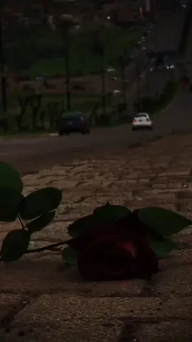 #من_وين_شفت_الفيديو #ستوريات #خساره_ياعمر_كله_خساره💔🥺 