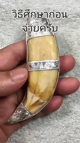 #เขียวเสือ #เขี้ยวเสือไฟ #เขี้ยวเสือโคร่ง