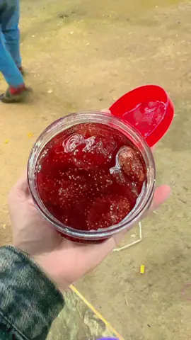 #mưtdautay  #dacsanđalat #xuhướng #dâutayyy🍓  Em có ghim giỗ hàng nek 