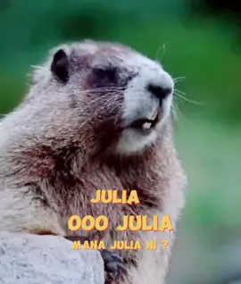 Text nama, sound boleh edit #tupaipanggilnama #tupaicomel #soundtupai #viralvideo #CapCut @MexMoney @dekfiq88 