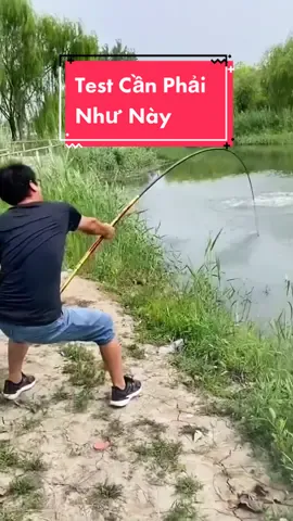 Cần Câu Song Long Chiến Tầm 20h Dòng Cần Săn Hàng Tải Tỉnh 5kg #testcancau #testcan #songlongchientam #cancausanhang #cancaudondai #cancautay #cancaudai #cancau #docau #docauca #hangnoidiatrung #cancaunoidia #anhtaifishing #xuhuong 