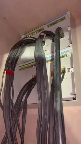Oh my 🥵🤤 #FYP #Foryoupage #Foryou #Electrican #Sparky #Trade #Apprentice #Funny #Joke 