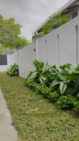 Minimalist Landscape by pokok.kg AMDesign “beautifying your own view”  by pokok.kg / AMDesign  Thank you owner for using our service .  #landscapebyAMDesign #landskapmalaysia #landskap #landscapermalaysia #malaysiatrending  Don’t forget to like our Facebook page  AM Design.  Jangan lupa untuk follow Instagram @wainscotingbudjet  @pokok.kg https://www.facebook.com/wainscotingmurahmalaysia/ #interiordesign #wainscoting #wainscotingbudjet #AMDesign #designideas #contractor #contractormuda #designandbuild  #murahgila #hiasandalaman #yourfuturehouse #interiordesignbyAMDesign #landskap #landscape #landscapemalaysia #landscapephotography #landscapedesign #malaysialandskap  #landscapebyAMDesign #landskapmalaysia #landskap #landscapermalaysia #malaysiatrending #fyp #fyppppppppppppppppppppppp #masukberandafyp #tolongfyp #landscapebypokok