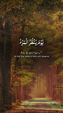 #quran #عبدالرحمن_مسعد 
