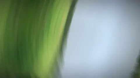 Chờ lực chinh phục tầm cao😄#blackkite🦅  #blackkite2023#chimsanmoi#falconry 