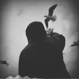 ​​إن كـان لا يـرجـوك إلا مُـحسِنٌ  فـ بمن يلوذ ويستجير المجرم ؟ 💔