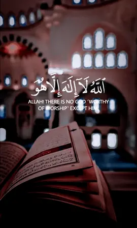 قران سورة الكرسي ❤ #حالات_واتس #استوريات_دينيه #قران #ارح_سمعك_بالقران #korean 