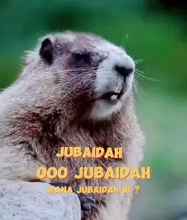 Text nama sound boleh edit #tupaipanggilnama #tupaicomel #soundtupai #viralvideo #capcut @MexMoney @dekfiq88 