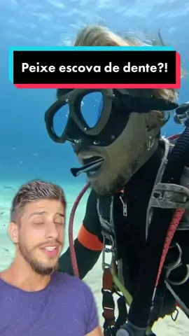 VOCÊ TOPARIA ESSA LIMPEZA? 🐟🦷🪥  #animaisnotiktok #aprendanotiktok #biologia #animal #peixe #espantatubarões 