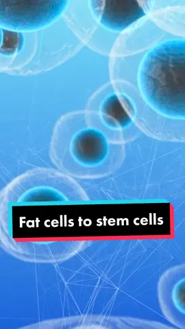 Scientists turn fat cells into stem cells. #Science #Research #Health #stemcells #LearnOnTikTok 