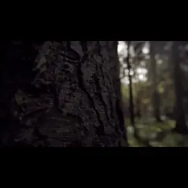 Hechizo - Ana Gabriel #letra #parati 