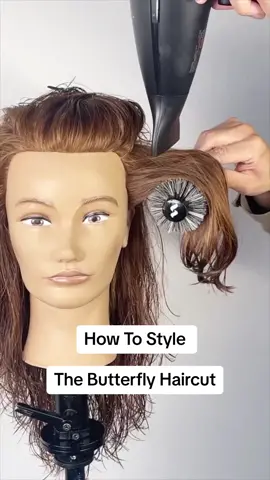 The Butterfly Haircut - Styling Tutorial! Watch and learn how I bring this haircut to life using @Authentic Beauty Concept USA & @Spornette International #haircuts #hairstyle #haircut #hairstyles #hairvideo #hairvideos #hairtutorial #hairtutorials #hairstyling #hairstyles #hairstyletutorial #haircuttutorial #thebutterflyhaircut #butterflycut #90s #90saesthetic #90shair 