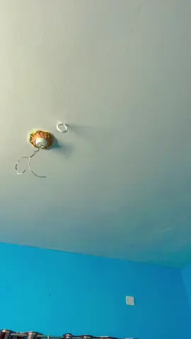 জানটা,,,♥️♥️@❤️Bestu Lover❤️@TikTok @TikTok Bangladesh #dirubasonia96 #bestulover_143_bm 