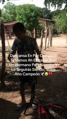 #descansacampeon🎗💔😪 #vuelaaltocampeon🕊️💔😭 Te Extrañaremos Mucho, Despues De Lo Que ah Ocurrido, As Dejado Un Vacio En Nuestros Corazones 💔😭🕊