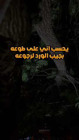 يحسبني على طوعه 😏 #ماعادني_الاول #شيلات_ياسر_الشهراني #طبيعه 
